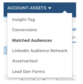 Linkedin Ads Mmatched Audiences