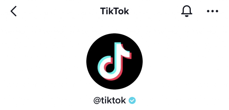 TikTok als einer der Social Media Verifizierungen