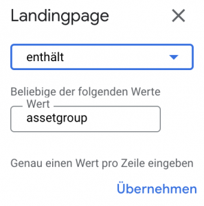 Landingpage enthält Assetgroup in Performance Max