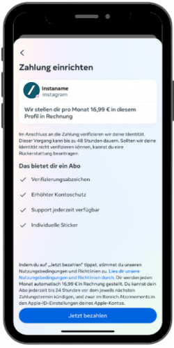 Meta Verified Anleitung Schritt 3 Blauer Haken Instagram